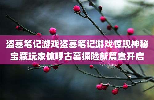盗墓笔记游戏盗墓笔记游戏惊现神秘宝藏玩家惊呼古墓探险新篇章开启