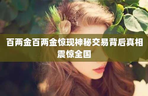 百两金百两金惊现神秘交易背后真相震惊全国