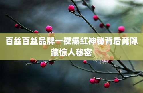 百丝百丝品牌一夜爆红神秘背后竟隐藏惊人秘密