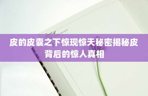 皮的皮囊之下惊现惊天秘密揭秘皮背后的惊人真相