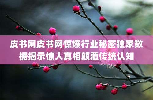 皮书网皮书网惊爆行业秘密独家数据揭示惊人真相颠覆传统认知