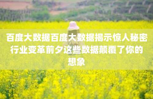 百度大数据百度大数据揭示惊人秘密行业变革前夕这些数据颠覆了你的想象