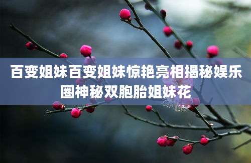 百变姐妹百变姐妹惊艳亮相揭秘娱乐圈神秘双胞胎姐妹花