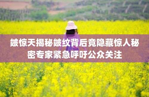 皴惊天揭秘皴纹背后竟隐藏惊人秘密专家紧急呼吁公众关注