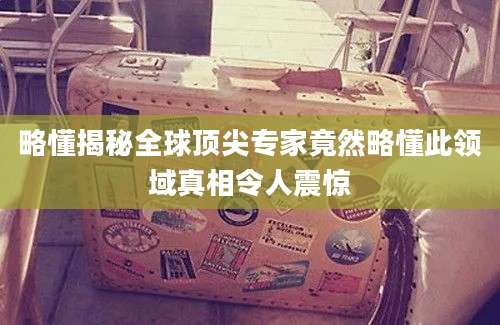 略懂揭秘全球顶尖专家竟然略懂此领域真相令人震惊
