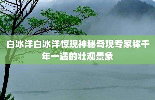 白冰洋白冰洋惊现神秘奇观专家称千年一遇的壮观景象