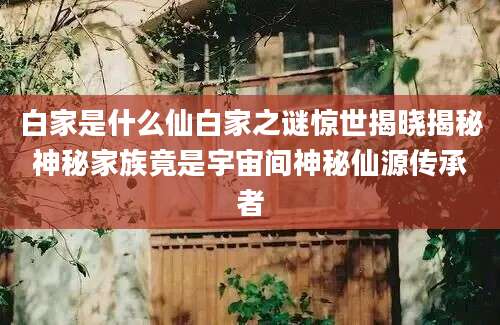 白家是什么仙白家之谜惊世揭晓揭秘神秘家族竟是宇宙间神秘仙源传承者