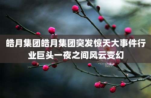 皓月集团皓月集团突发惊天大事件行业巨头一夜之间风云变幻