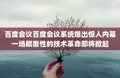 百度会议百度会议系统爆出惊人内幕一场颠覆性的技术革命即将掀起