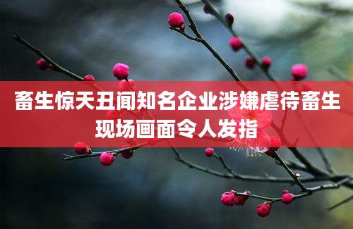 畜生惊天丑闻知名企业涉嫌虐待畜生现场画面令人发指