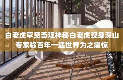 白老虎罕见奇观神秘白老虎现身深山专家称百年一遇世界为之震惊