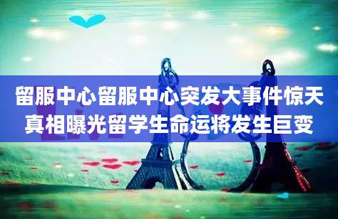 留服中心留服中心突发大事件惊天真相曝光留学生命运将发生巨变