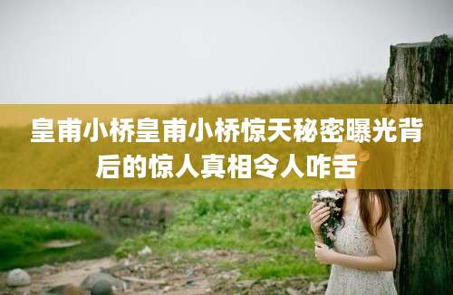 皇甫小桥皇甫小桥惊天秘密曝光背后的惊人真相令人咋舌