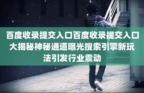 百度收录提交入口百度收录提交入口大揭秘神秘通道曝光搜索引擎新玩法引发行业震动