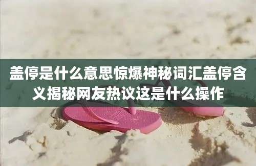 盖停是什么意思惊爆神秘词汇盖停含义揭秘网友热议这是什么操作
