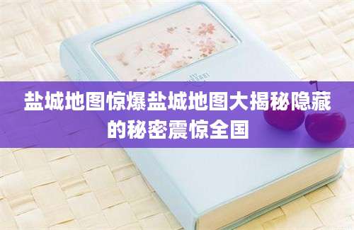 盐城地图惊爆盐城地图大揭秘隐藏的秘密震惊全国