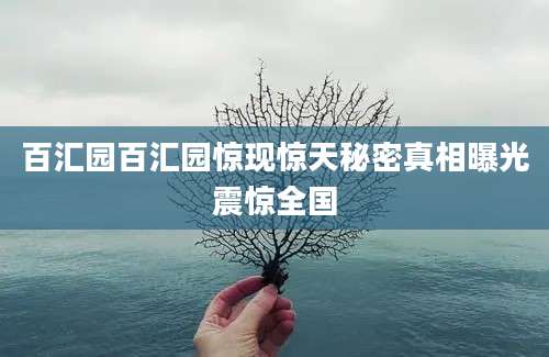 百汇园百汇园惊现惊天秘密真相曝光震惊全国