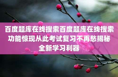 百度题库在线搜索百度题库在线搜索功能惊现从此考试复习不再愁揭秘全新学习利器