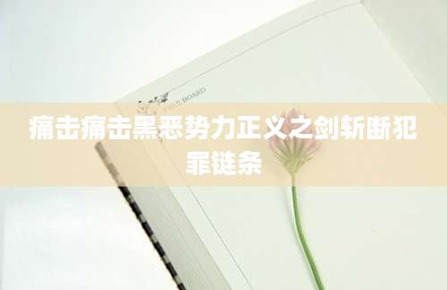 痛击痛击黑恶势力正义之剑斩断犯罪链条