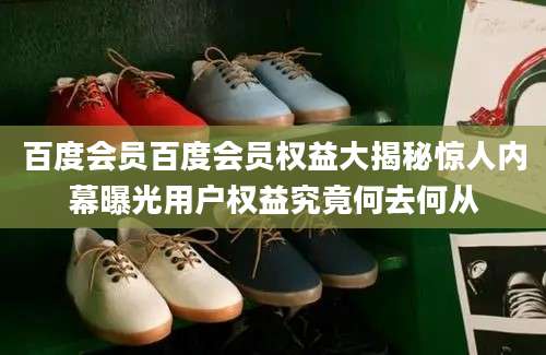 百度会员百度会员权益大揭秘惊人内幕曝光用户权益究竟何去何从