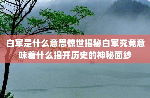 白军是什么意思惊世揭秘白军究竟意味着什么揭开历史的神秘面纱