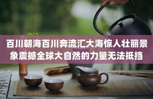 百川朝海百川奔流汇大海惊人壮丽景象震撼全球大自然的力量无法抵挡