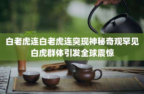 白老虎连白老虎连突现神秘奇观罕见白虎群体引发全球震惊