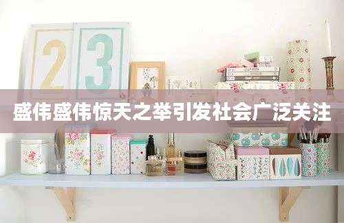 盛伟盛伟惊天之举引发社会广泛关注