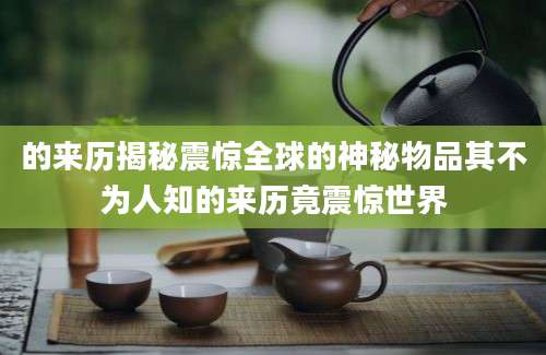 的来历揭秘震惊全球的神秘物品其不为人知的来历竟震惊世界