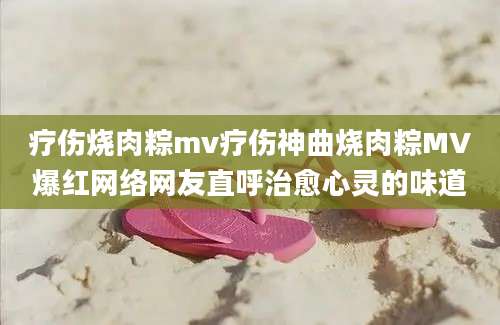 疗伤烧肉粽mv疗伤神曲烧肉粽MV爆红网络网友直呼治愈心灵的味道