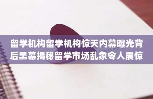 留学机构留学机构惊天内幕曝光背后黑幕揭秘留学市场乱象令人震惊
