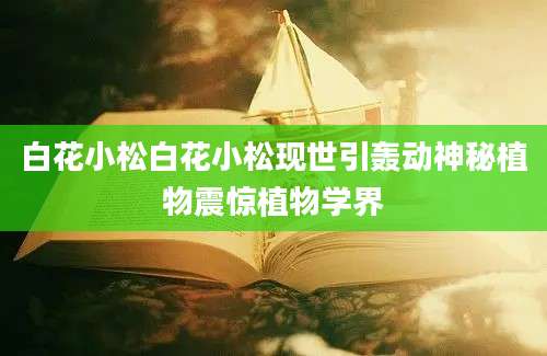 白花小松白花小松现世引轰动神秘植物震惊植物学界