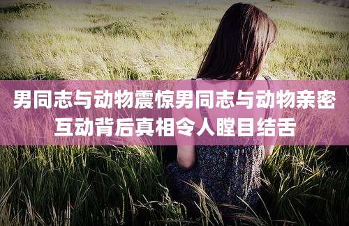 男同志与动物震惊男同志与动物亲密互动背后真相令人瞠目结舌
