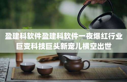 盈建科软件盈建科软件一夜爆红行业巨变科技巨头新宠儿横空出世