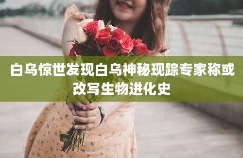 白乌惊世发现白乌神秘现踪专家称或改写生物进化史