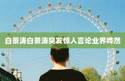白景涛白景涛突发惊人言论业界哗然