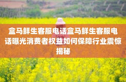 盒马鲜生客服电话盒马鲜生客服电话曝光消费者权益如何保障行业震惊揭秘