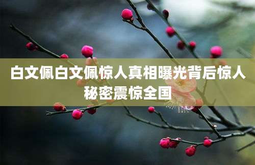 白文佩白文佩惊人真相曝光背后惊人秘密震惊全国