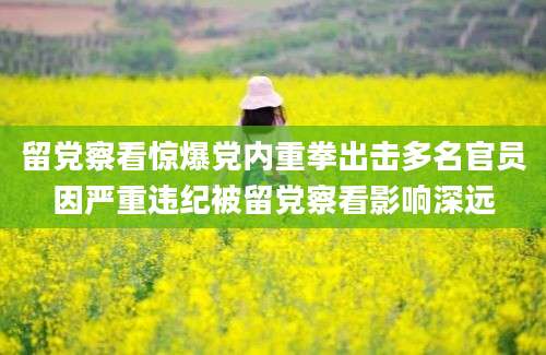 留党察看惊爆党内重拳出击多名官员因严重违纪被留党察看影响深远