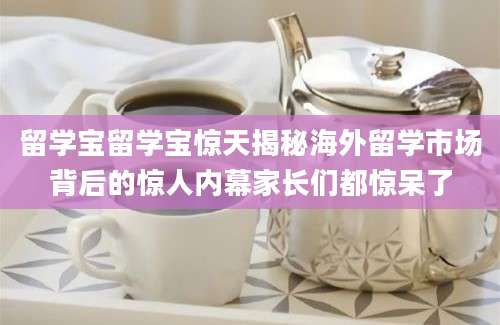 留学宝留学宝惊天揭秘海外留学市场背后的惊人内幕家长们都惊呆了