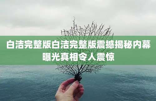 白洁完整版白洁完整版震撼揭秘内幕曝光真相令人震惊