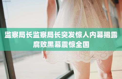 监察局长监察局长突发惊人内幕揭露腐败黑幕震惊全国