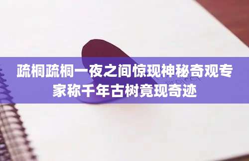 疏桐疏桐一夜之间惊现神秘奇观专家称千年古树竟现奇迹