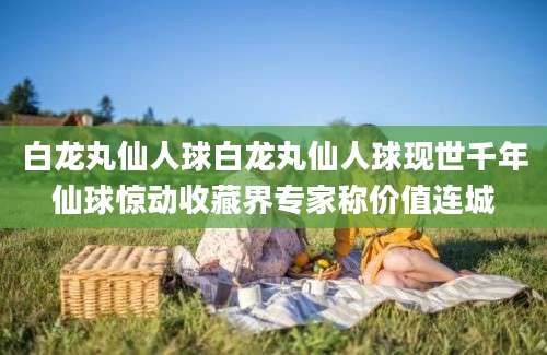 白龙丸仙人球白龙丸仙人球现世千年仙球惊动收藏界专家称价值连城