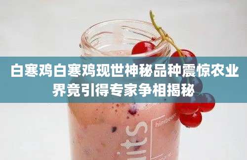 白寒鸡白寒鸡现世神秘品种震惊农业界竟引得专家争相揭秘