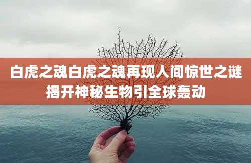 白虎之魂白虎之魂再现人间惊世之谜揭开神秘生物引全球轰动