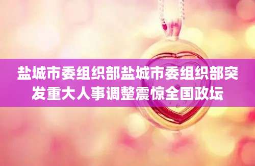 盐城市委组织部盐城市委组织部突发重大人事调整震惊全国政坛