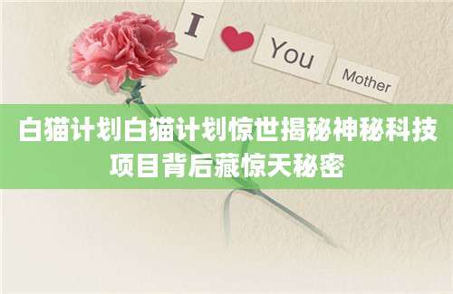 白猫计划白猫计划惊世揭秘神秘科技项目背后藏惊天秘密