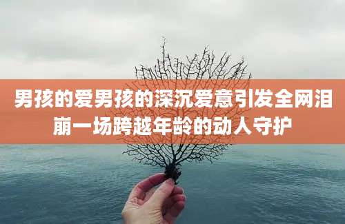 男孩的爱男孩的深沉爱意引发全网泪崩一场跨越年龄的动人守护