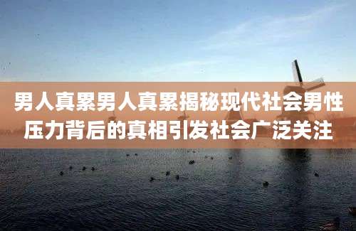 男人真累男人真累揭秘现代社会男性压力背后的真相引发社会广泛关注